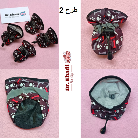 کفش عروسکی5